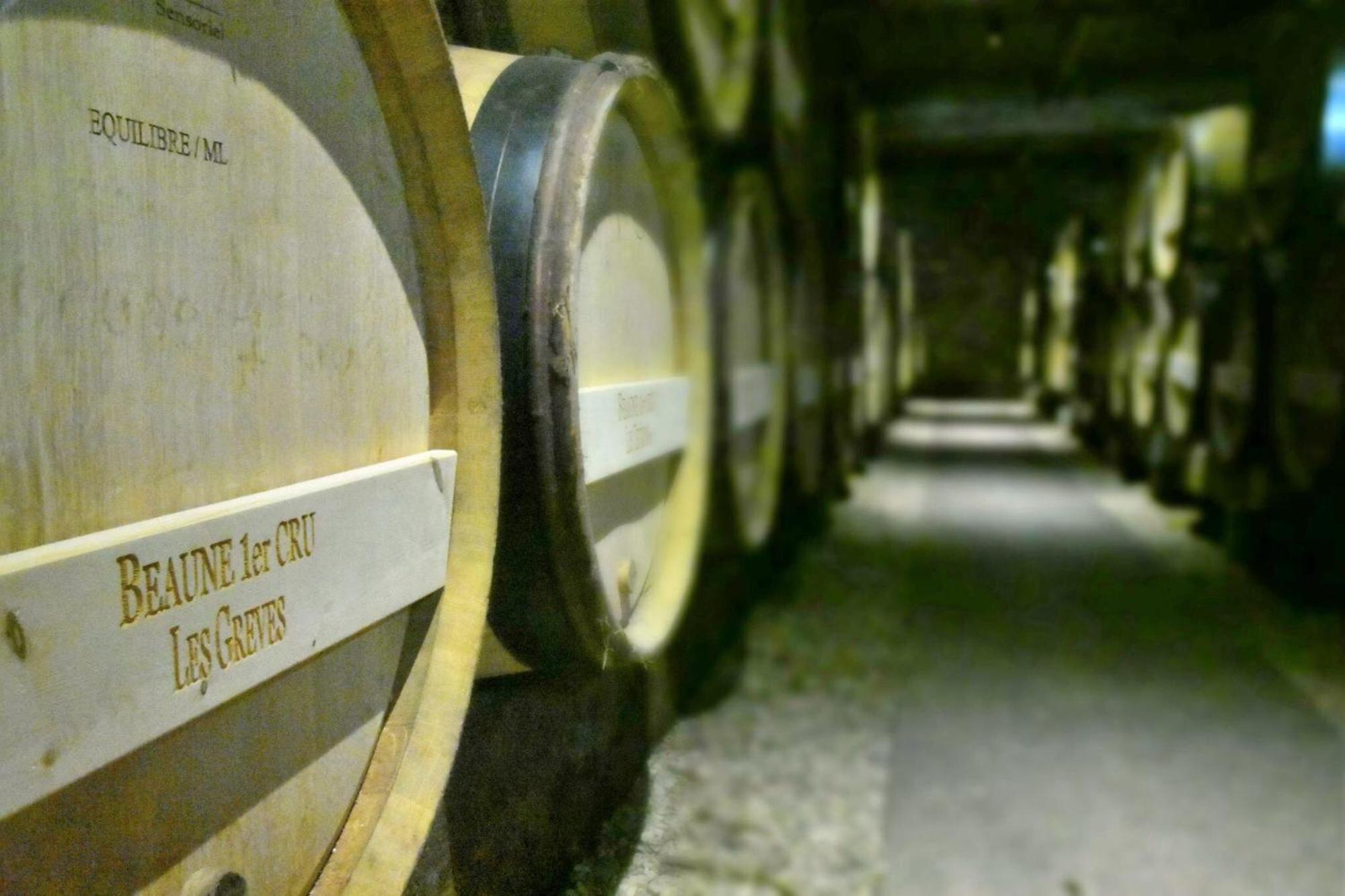 Les Chambres Du Foulot Beaune  Bagian luar foto